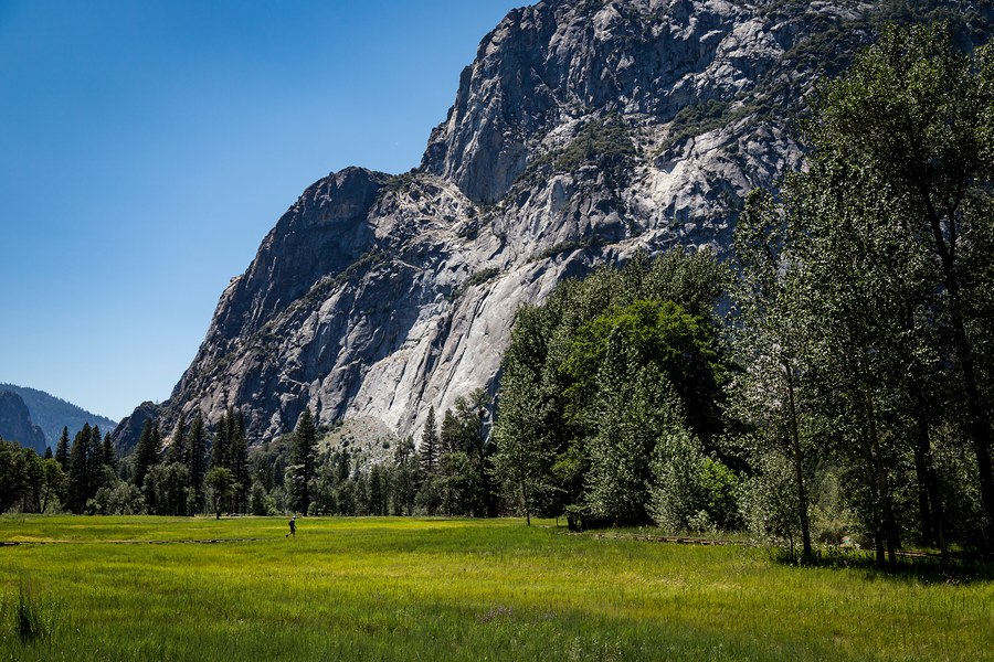 Yosemite National Park