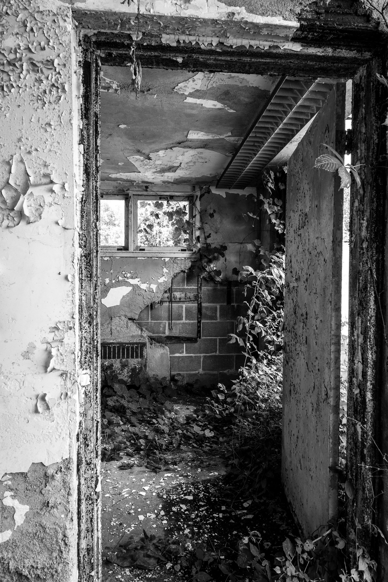 Trans Allegheny Lunatic Asylum, United States