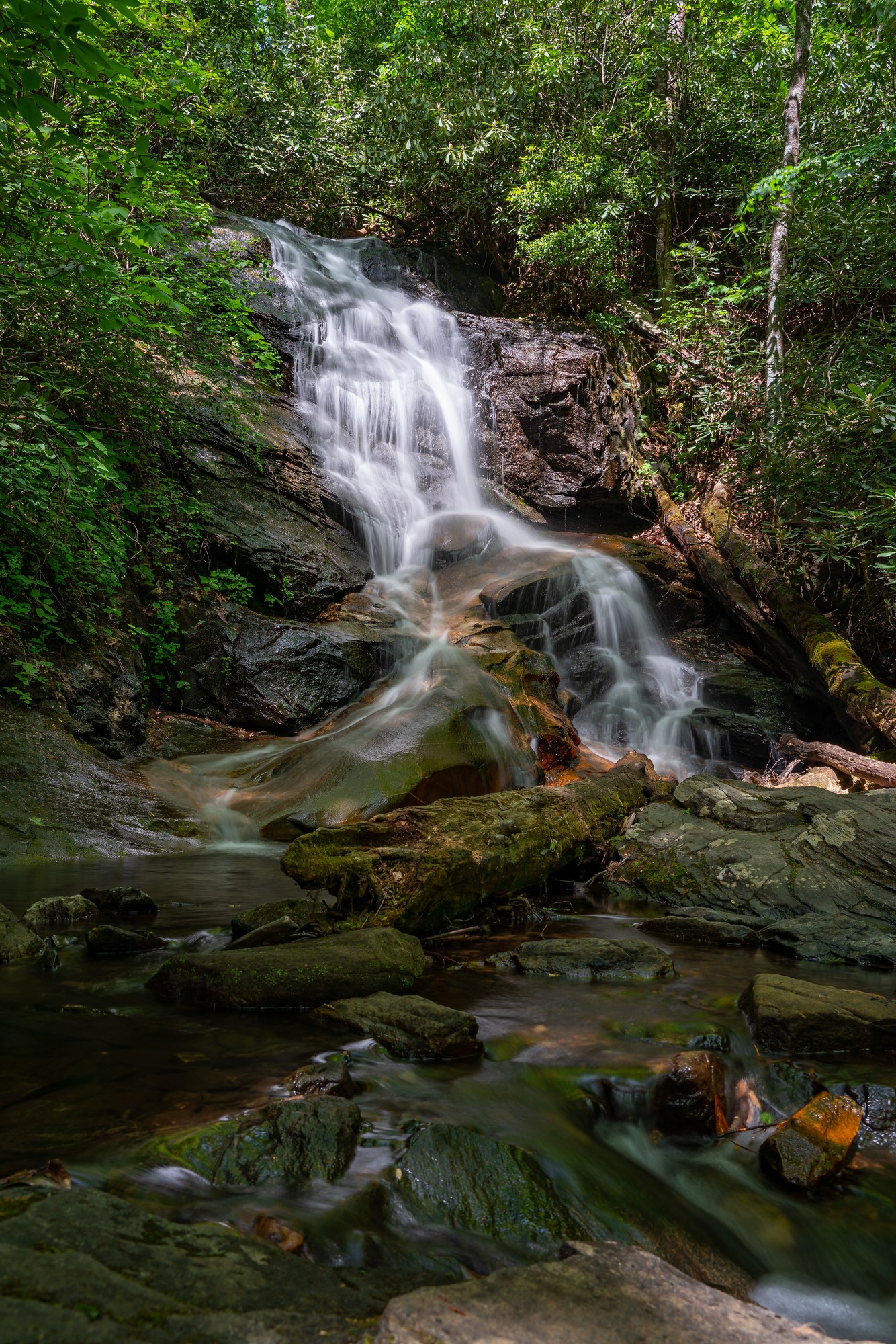 Log Hallow Falls
