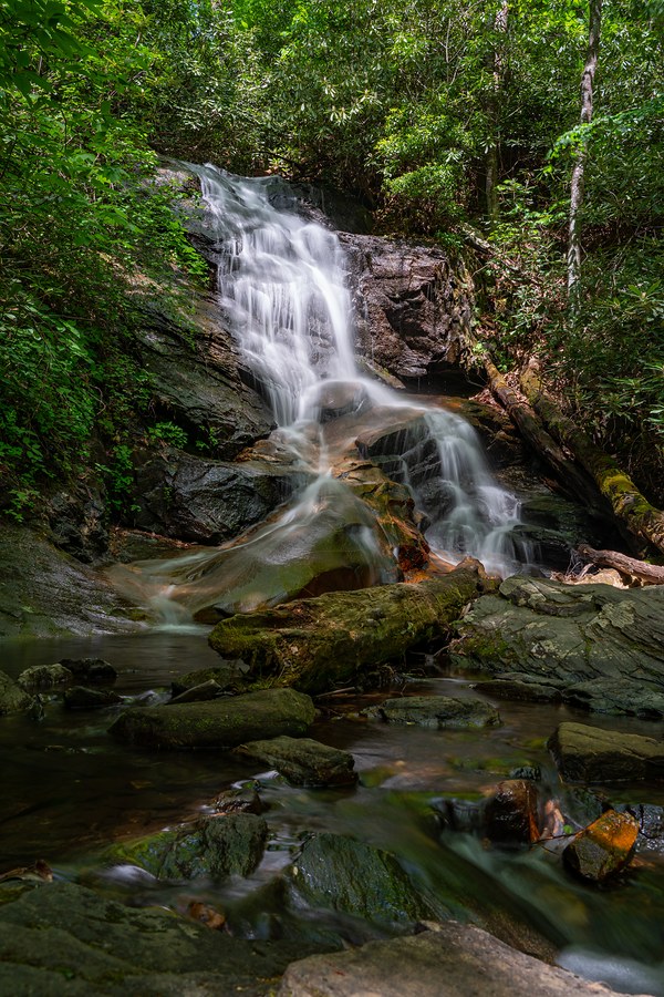 Log Hallow Falls
