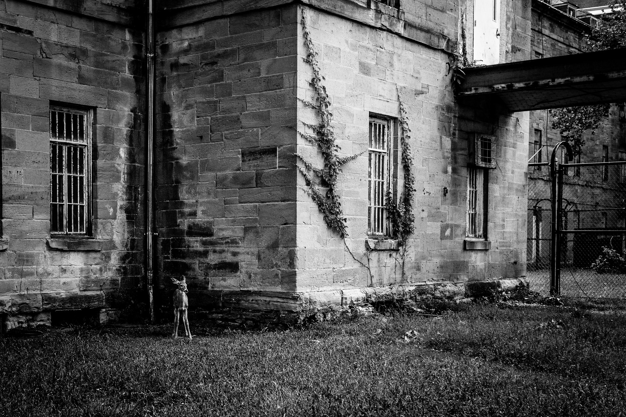 Trans Allegheny Lunatic Asylum, United States