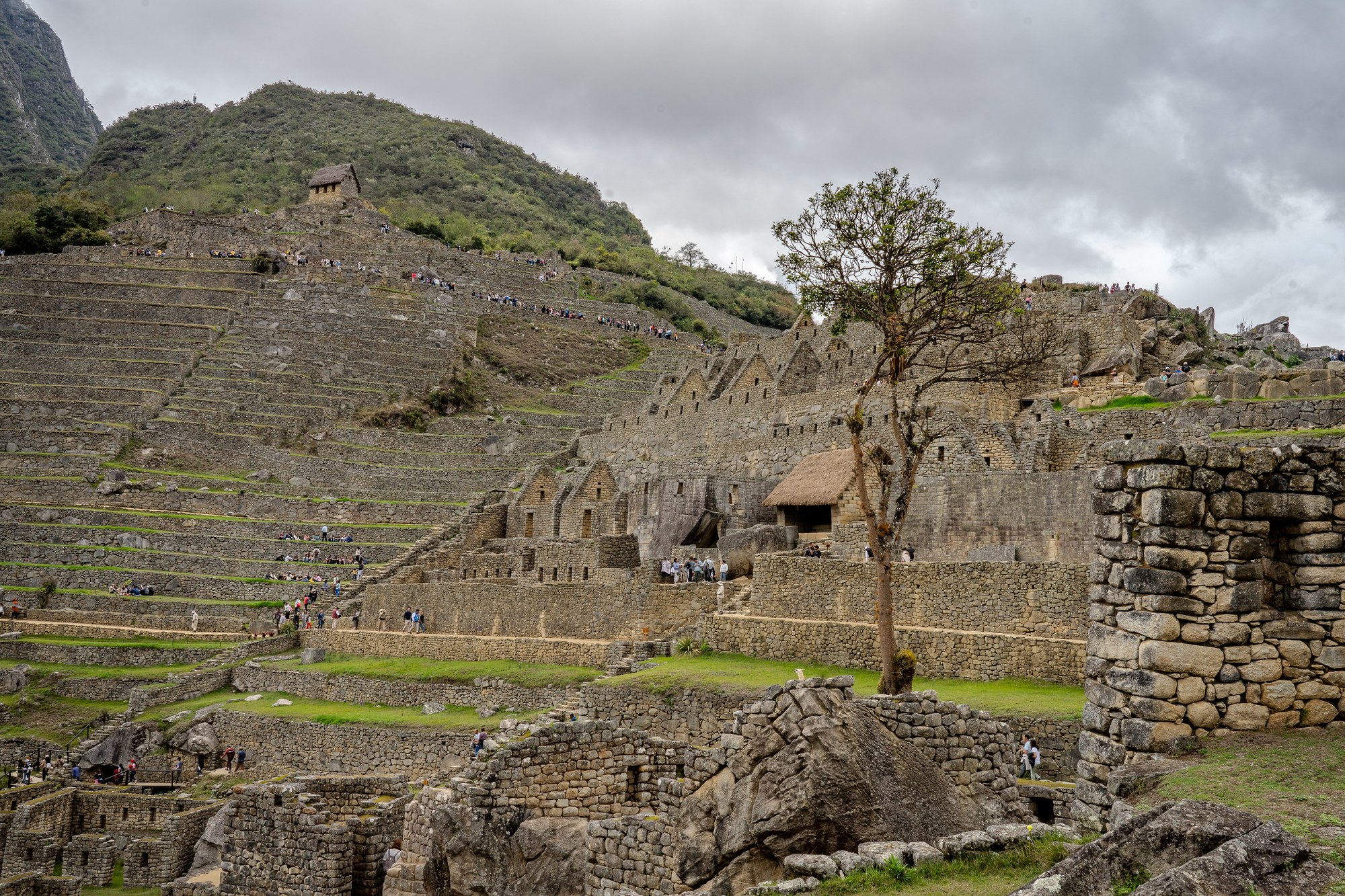 Machu Picchu - Circuit 2