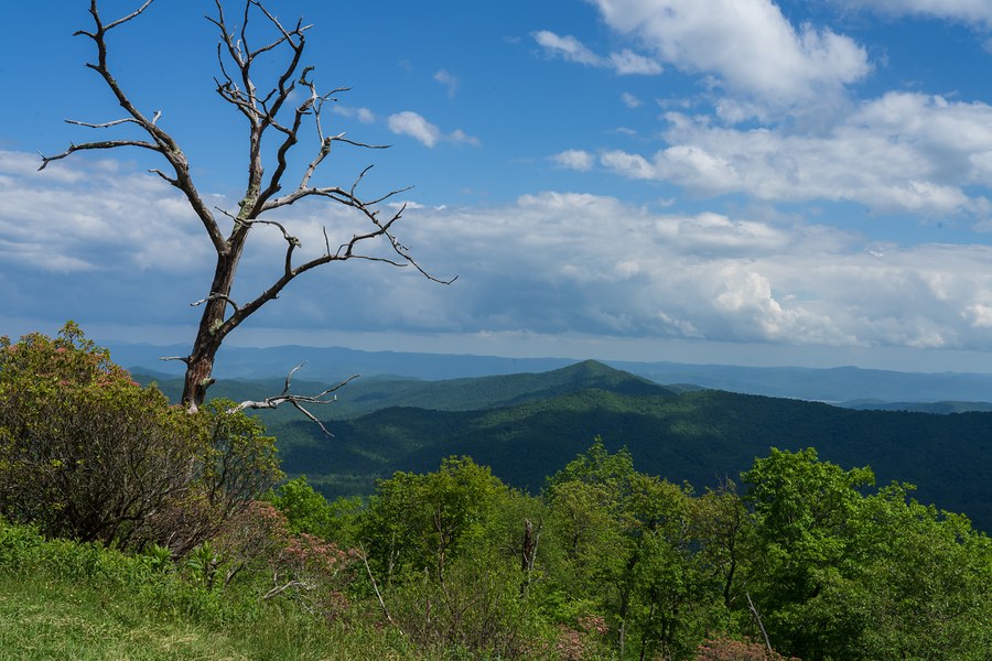 Blue Ridge Mountains - Cradle of Forestry