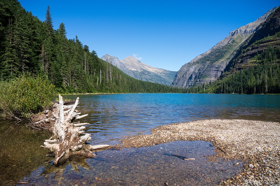 Avalanche Lake