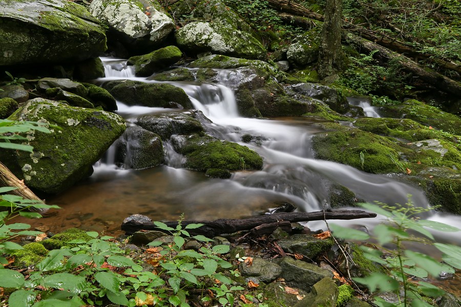 Lower Dark Hallow Falls