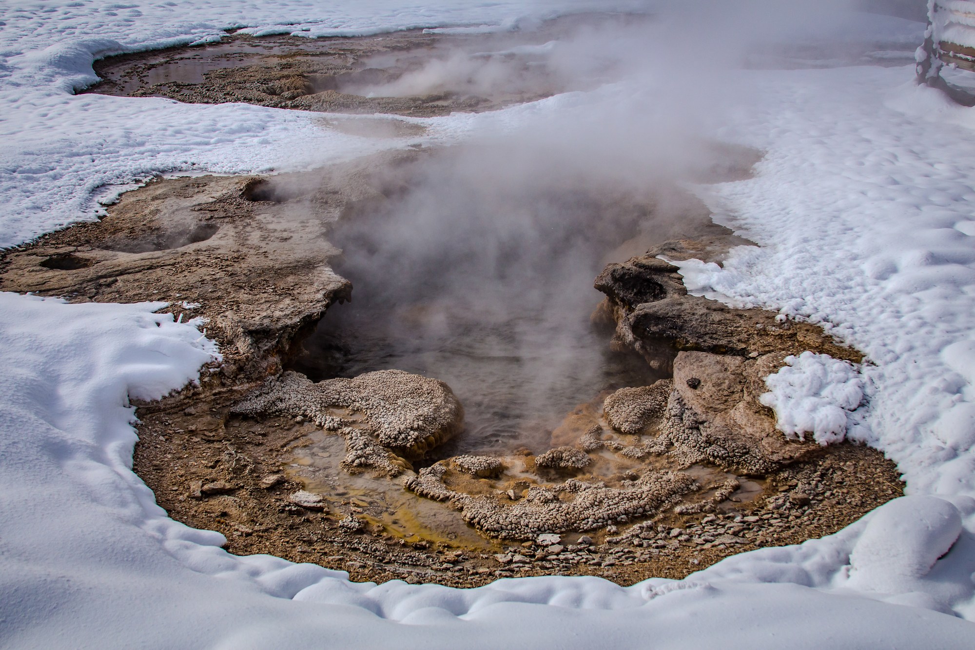 Yellowstone Hot Spring