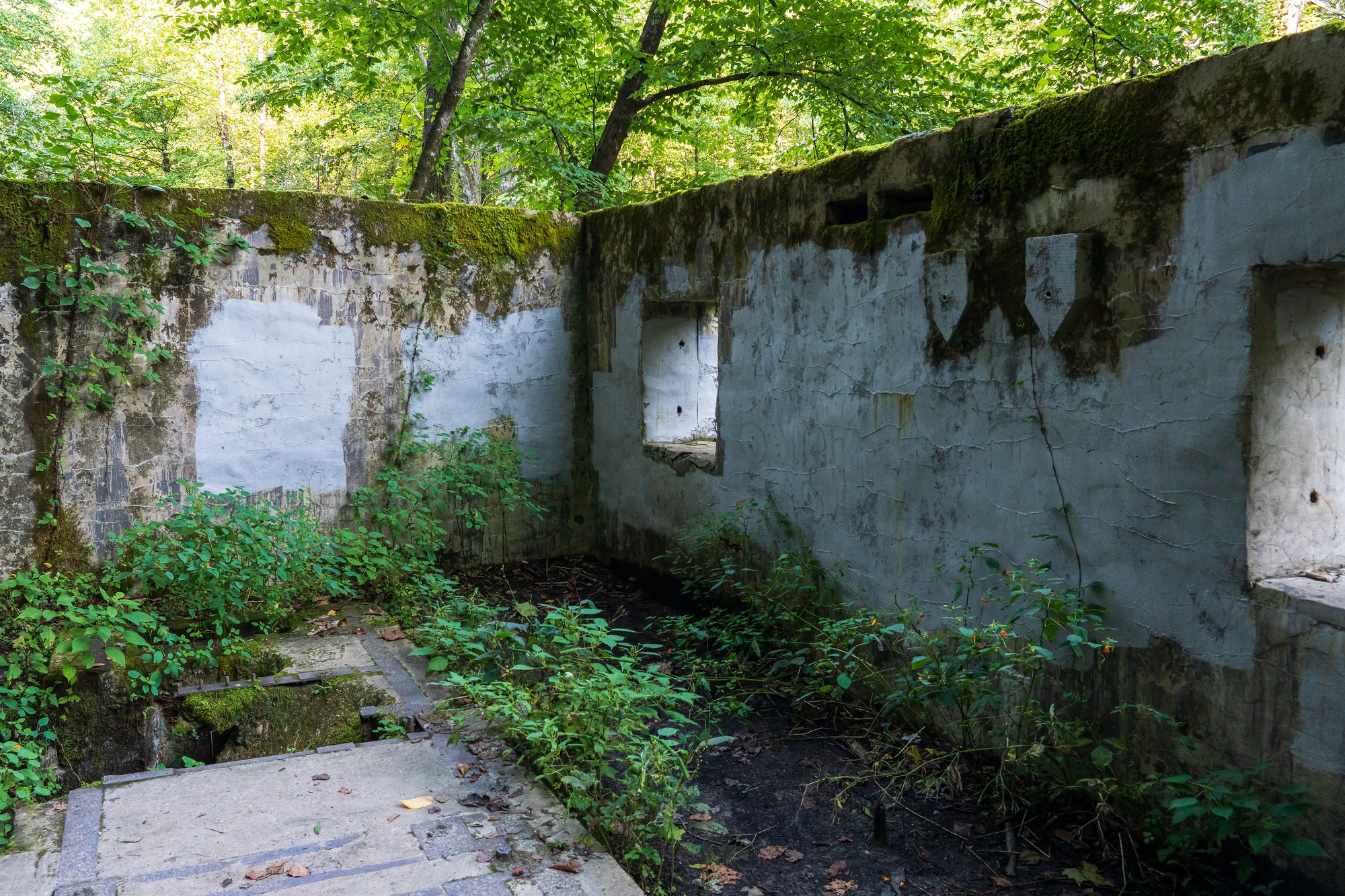 Catawba Falls Stone Building