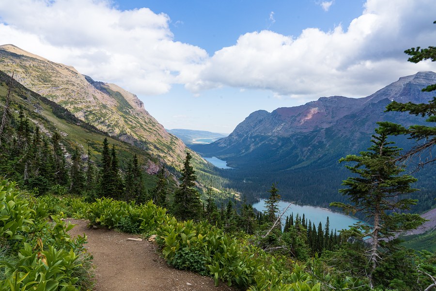 Grinnell Glacier Trail