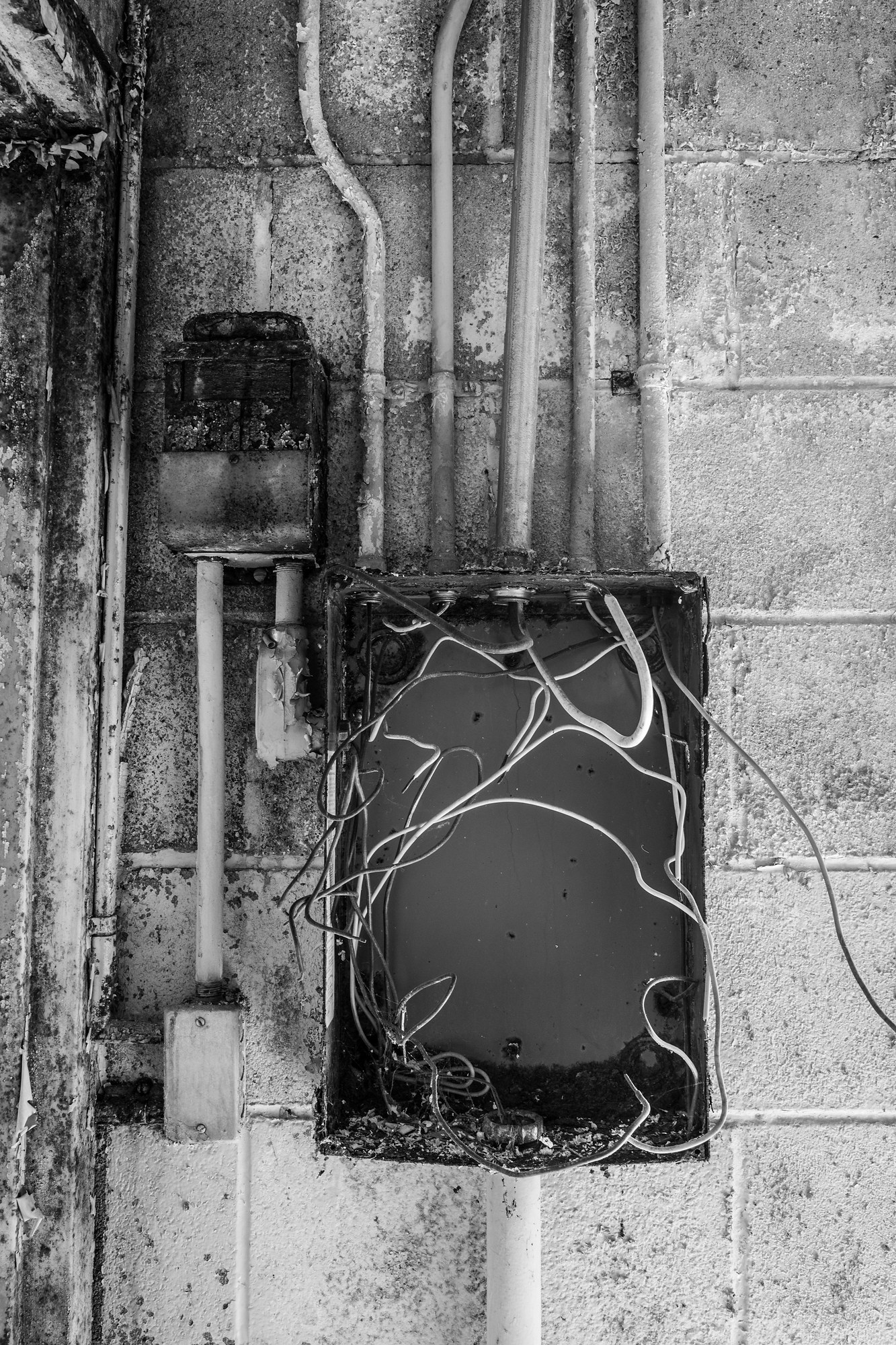 Trans Allegheny Lunatic Asylum, United States