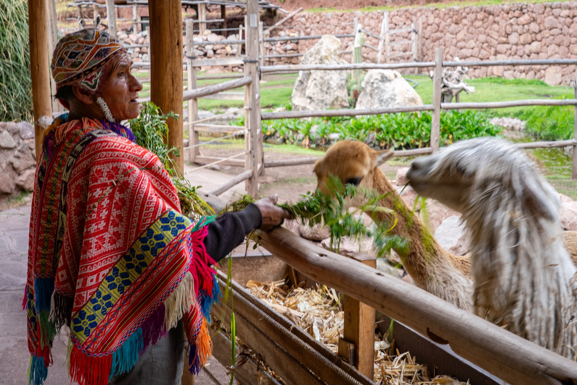 Cusco
