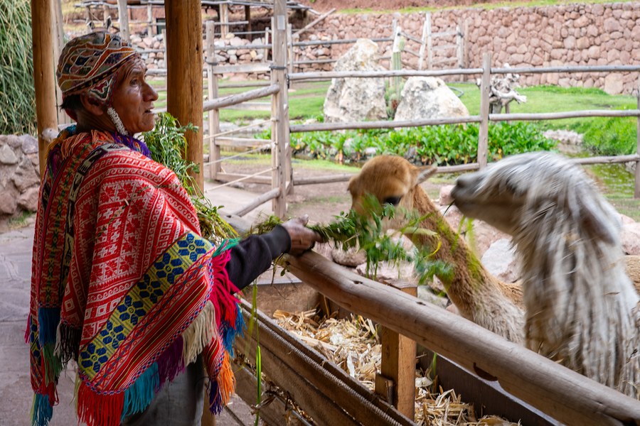 Cusco