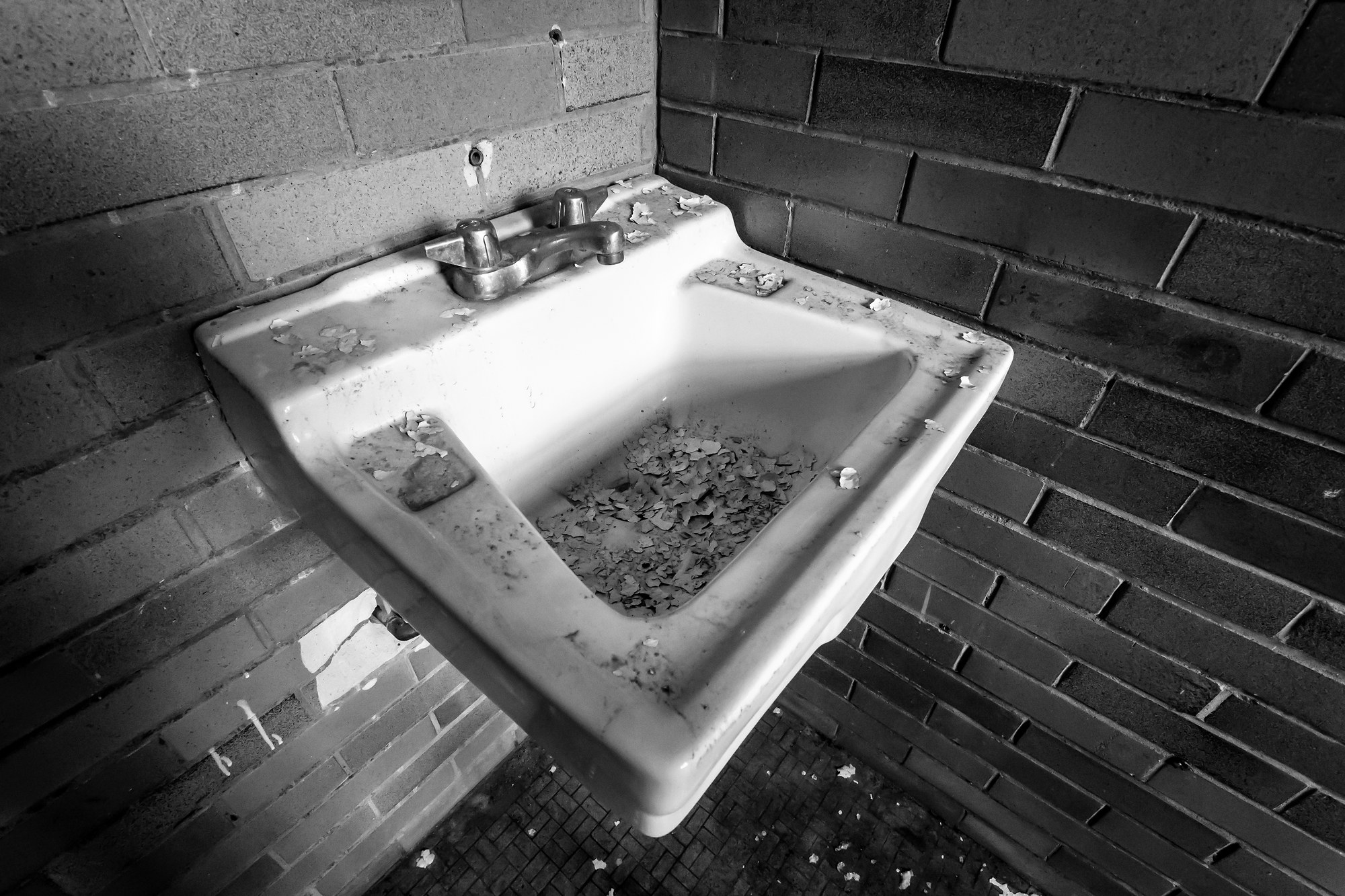 Trans Allegheny Lunatic Asylum, United States