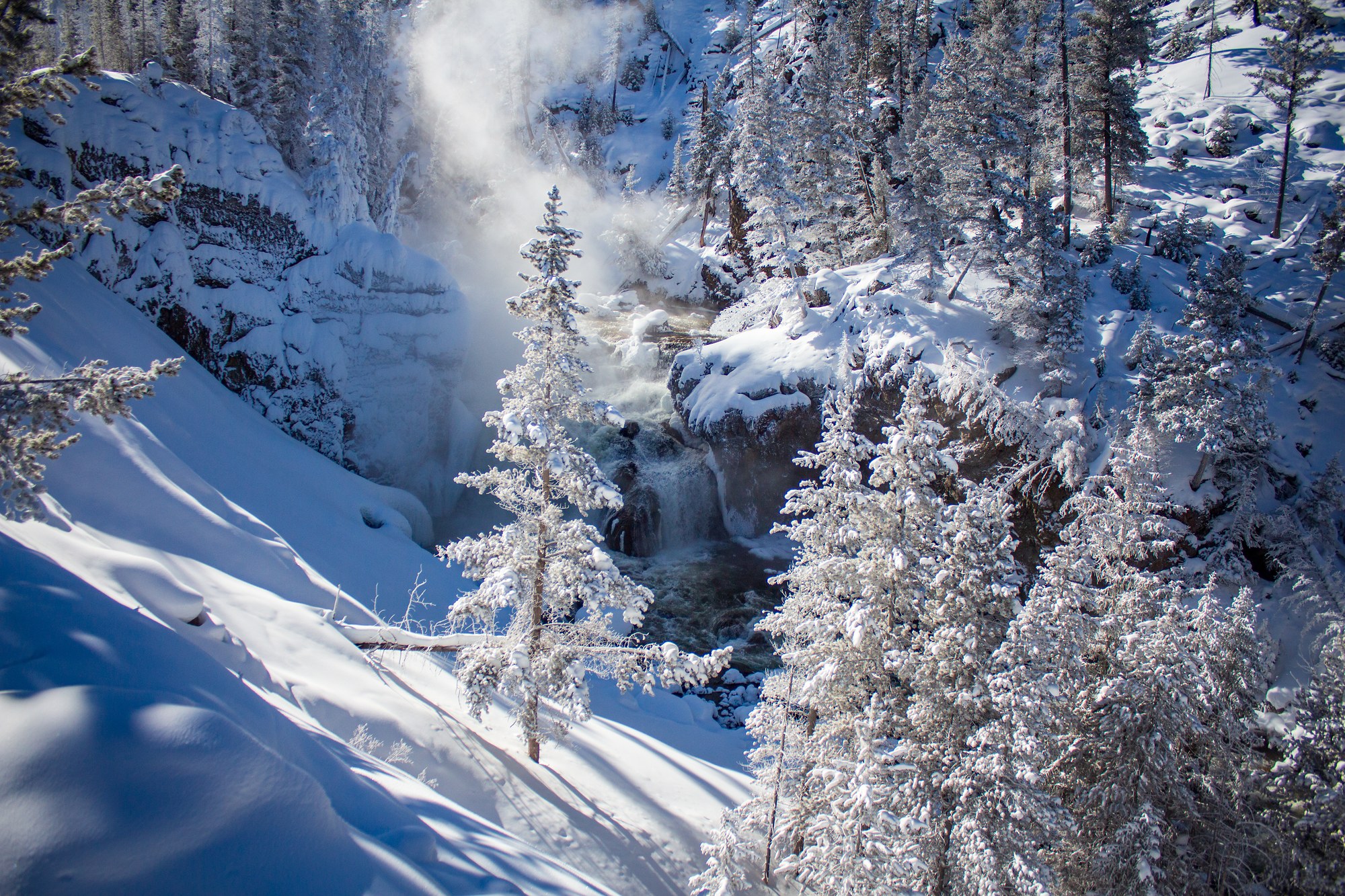 Yellowstone Winter