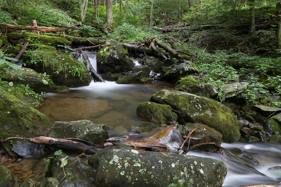 Lower Dark Hallow Falls