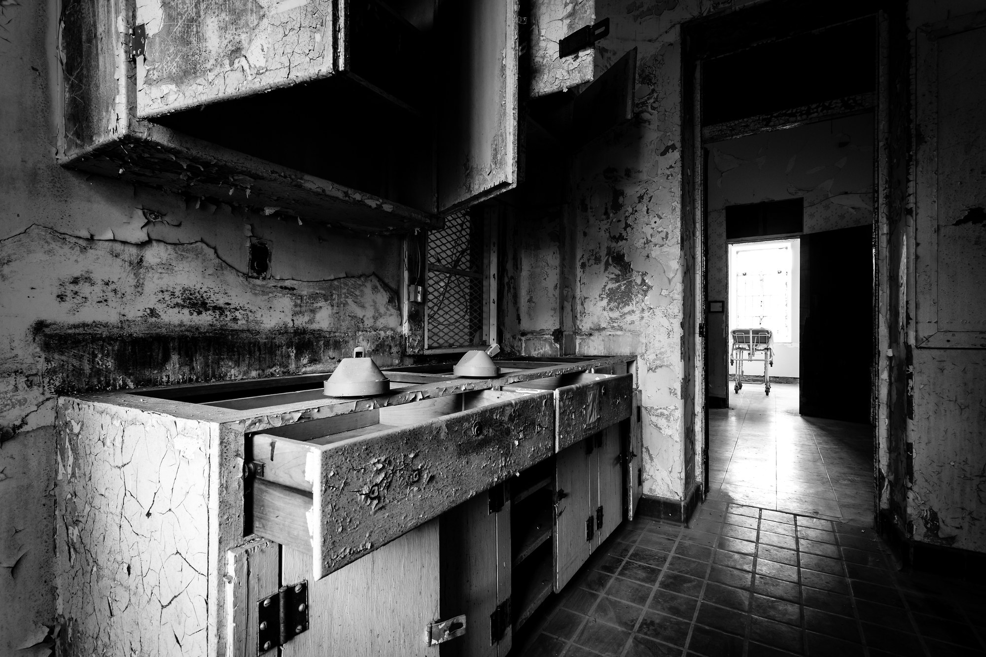 Trans Allegheny Lunatic Asylum, United States