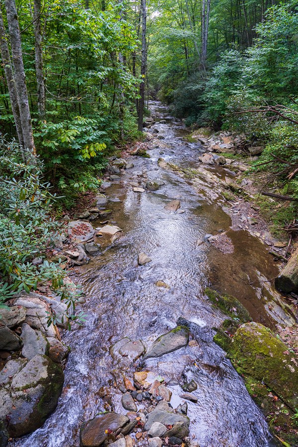 Lower Catawba Falls