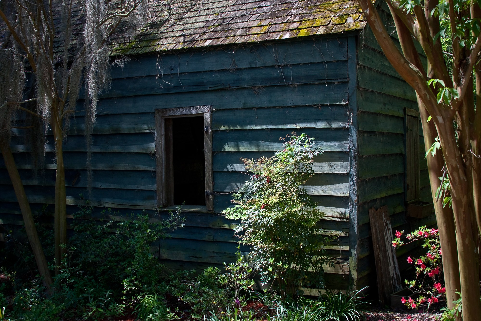 Magnolia Plantation