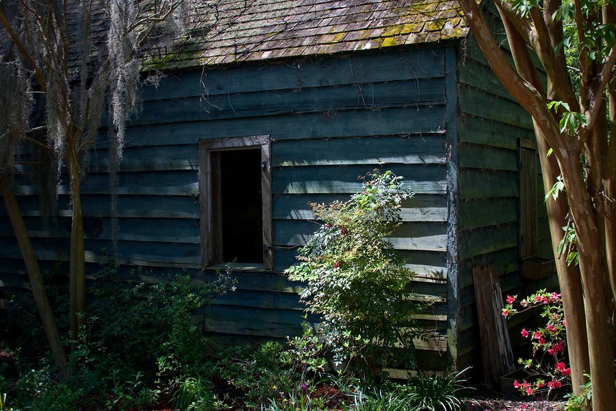 Magnolia Plantation