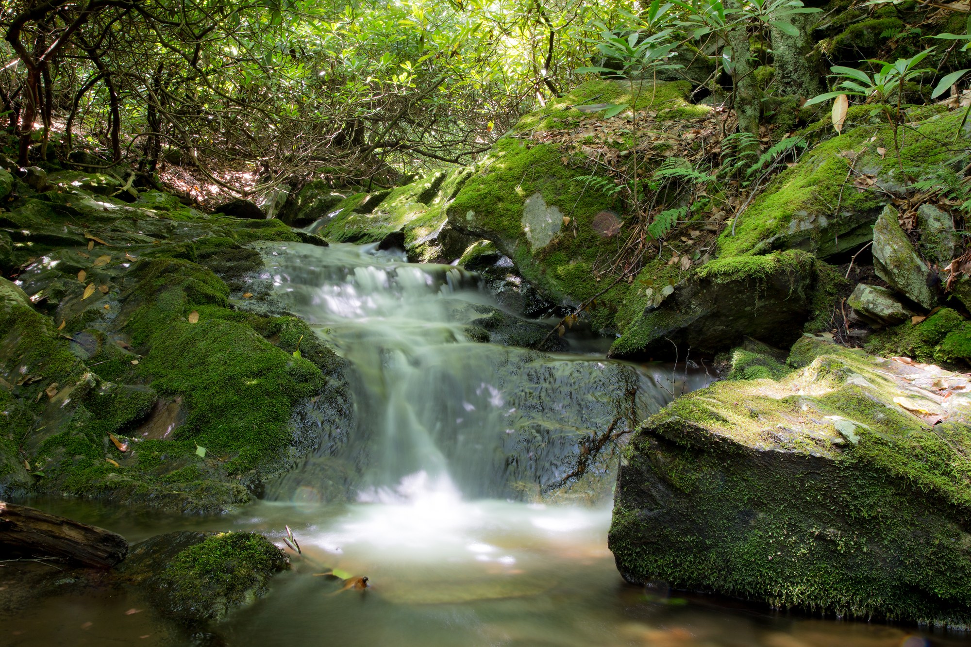 Julian Price Park