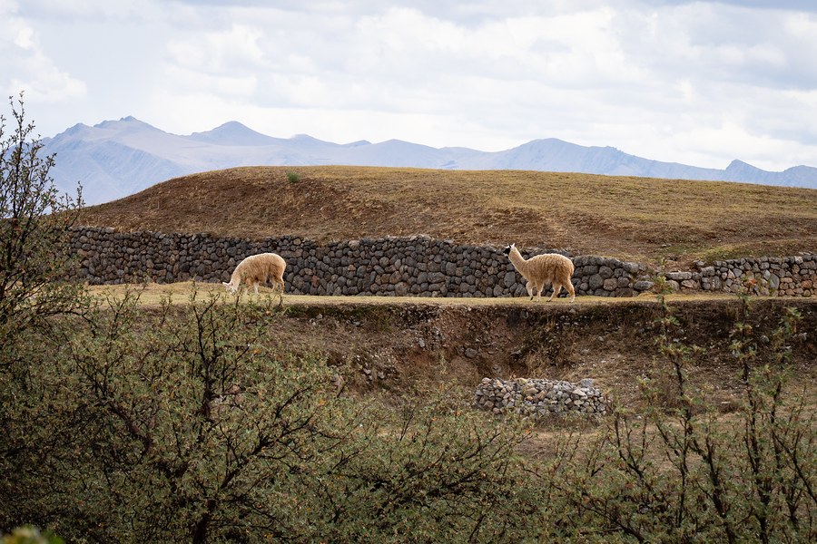 Cusco